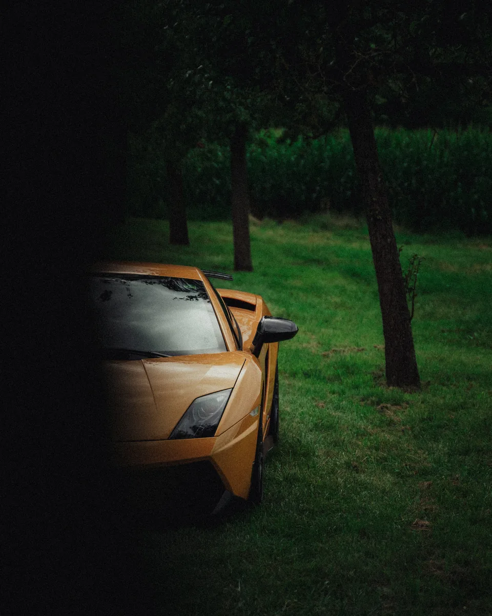 Lamborghini hinter einem dunklen Baumstamm
