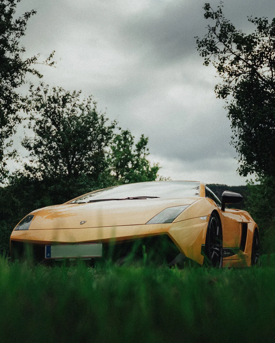 Lamborghini in der grünen Parklandschaft